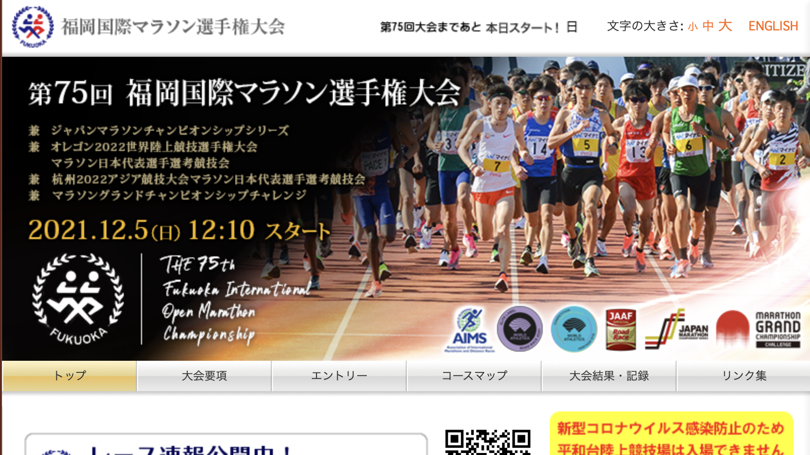 かつて本気で目指した福岡国際マラソンが本日幕を閉じました
