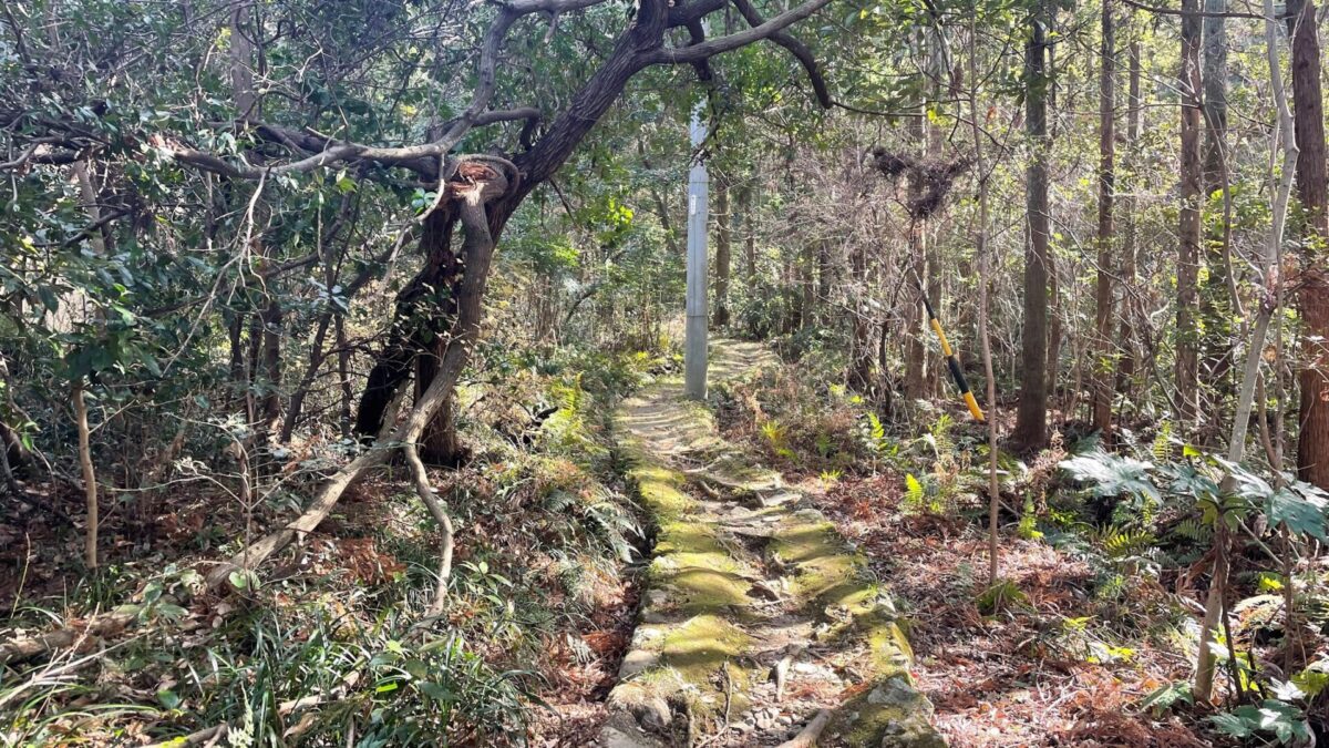 お伊勢さん125社巡りラン1日目を実施②（伊勢市二見エリア編）