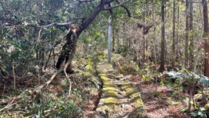 お伊勢さん125社巡りラン1日目を実施②(伊勢市二見エリア編)