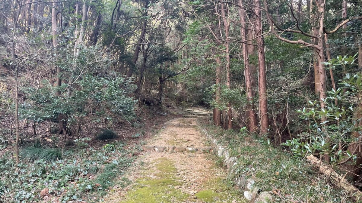 大の苦手の詰まった黒部と高山ウルトラ対策を早速はじめよう