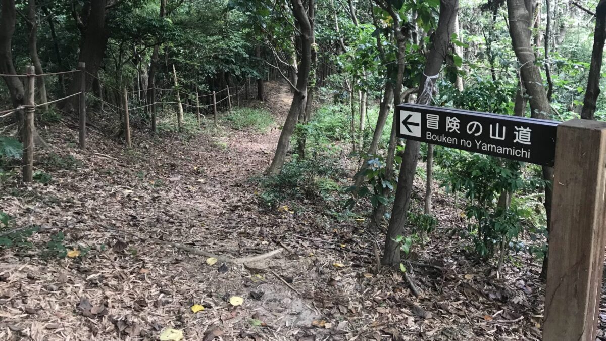 自分が今後進むべき天職とも言える道は観光プランナー？