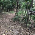 自分が今後進むべき天職とも言える道は観光プランナー?