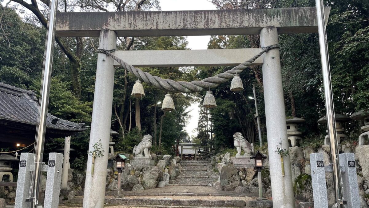 別大マラソンのオンラインイベントをきっかけに早朝ランを続けよう