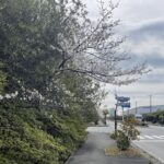 フルマラソン二週間前の走り込みは20kmがマイルールということで