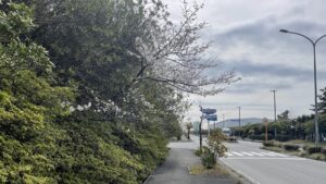 フルマラソン二週間前の走り込みは20kmがマイルールということで