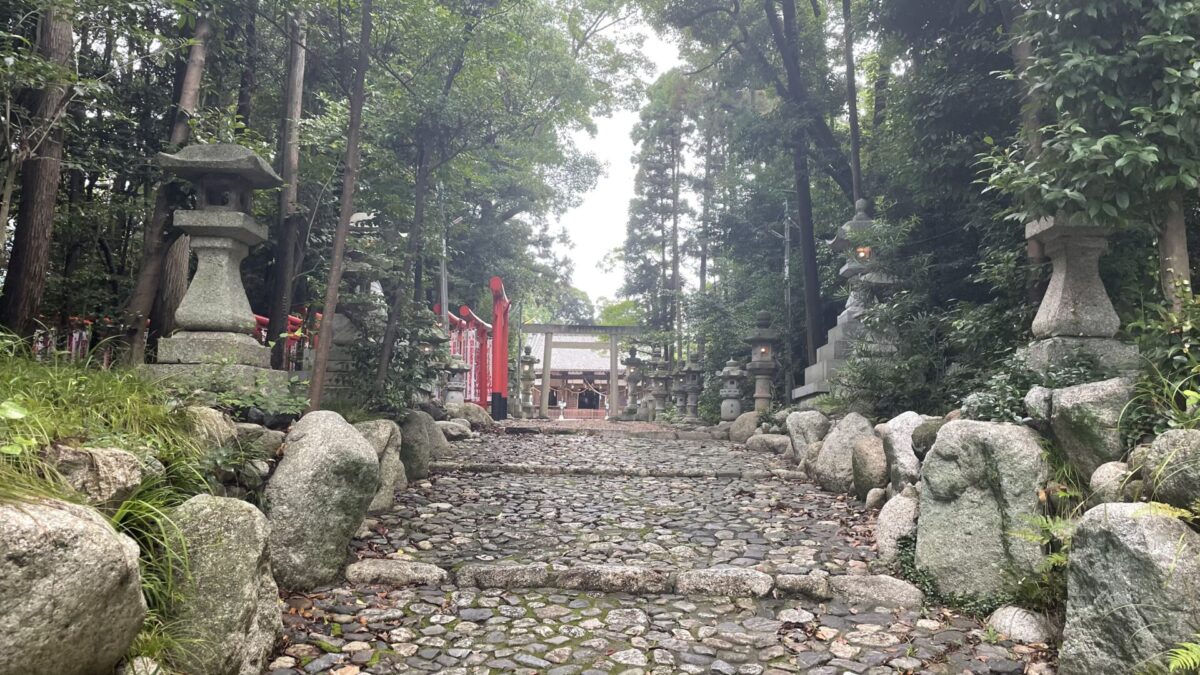 異常な暑さが続く今年の夏場こそ何が何でも早朝ジョグを継続しよう