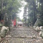 異常な暑さが続く今年の夏場こそ何が何でも早朝ジョグを継続しよう