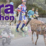 諸事情で2022年本命レースとなった感のある奈良マラソンにエントリー