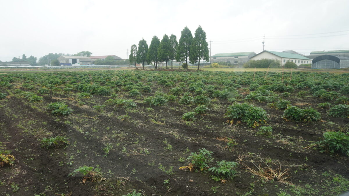 鈴鹿市にて6次産業化事業に向けての某プロジェクトへ密かに参画中