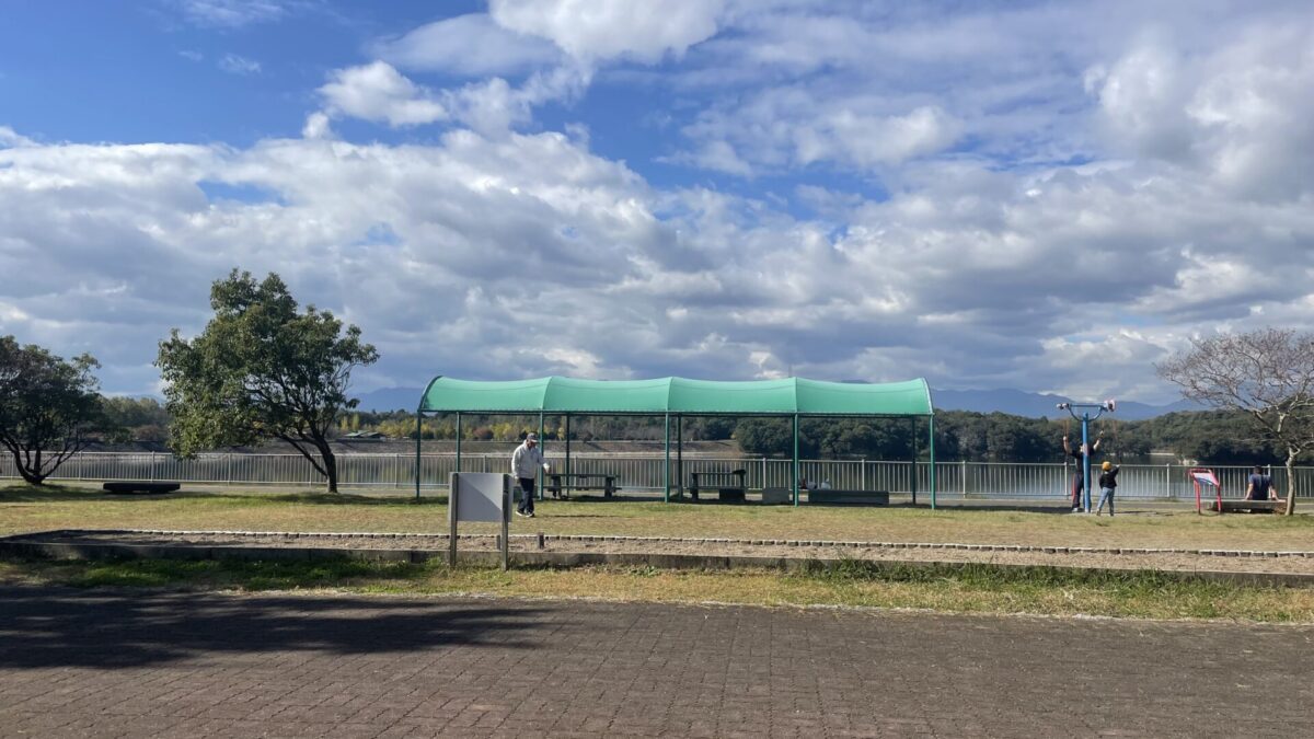 奈良マラソンに向けて週末はとにかく徹底的に脚づくりを行おう