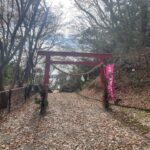 年末3日間の走り込みを今度こそ来年の走力アップの土台につなげよう