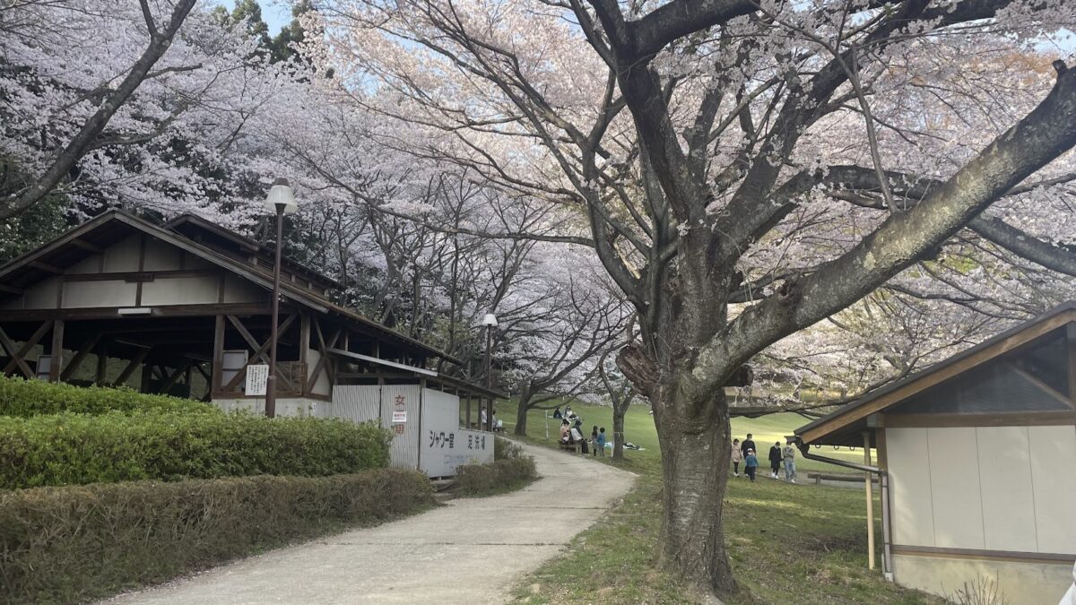 2023年度からはじめる新規事業の某ミッションのため松阪を走り歩き