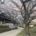2023年度からはじめる新規事業の某ミッションのため松阪を走り歩き
