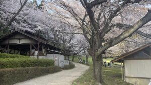 2023年度からはじめる新規事業の某ミッションのため松阪を走り歩き