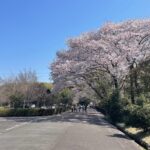 とにかく距離を踏みたい2023年度のはじめは伊坂ダムよりスタート