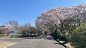 とにかく距離を踏みたい2023年度のはじめは伊坂ダムよりスタート