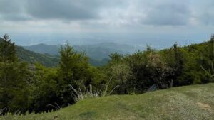 野登山峠走→椿大神社参拝でゆるみ切った気持ちに刺激入れ