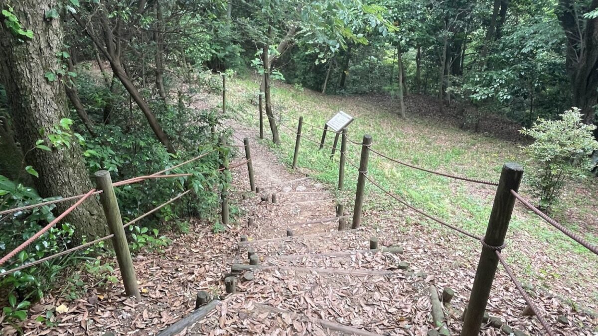 今年の夏はハードかつテクニカルな垂坂公園コースで鍛え上げよう
