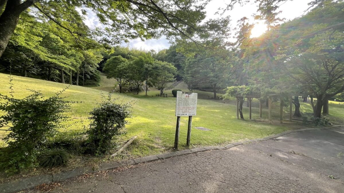 暑さが苦手な私の夏場のスタミナ強化は垂坂公園練習しかないと確信