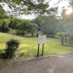 暑さが苦手な私の夏場のスタミナ強化は垂坂公園練習しかないと確信