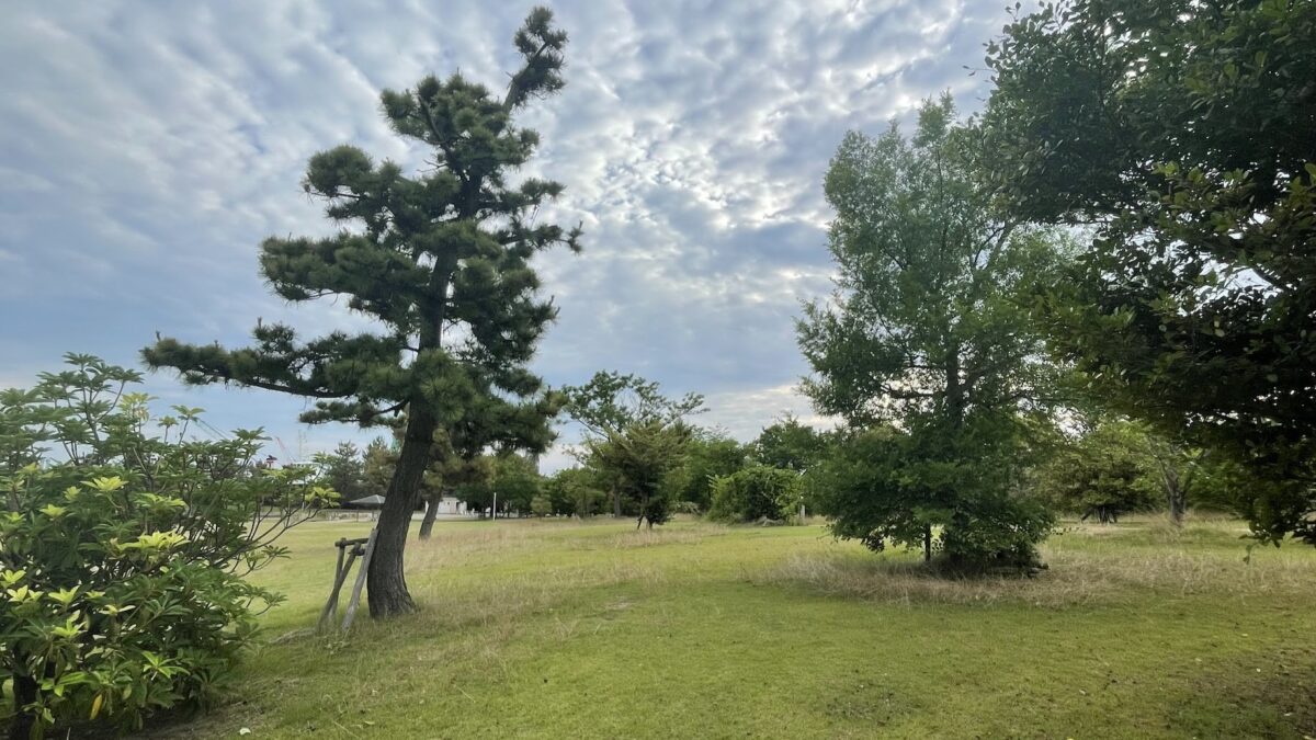 今年の夏は富双緑地でランニングフォームの矯正にも取り組もう
