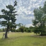 今年の夏は富双緑地でランニングフォームの矯正にも取り組もう