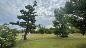 今年の夏は富双緑地でランニングフォームの矯正にも取り組もう