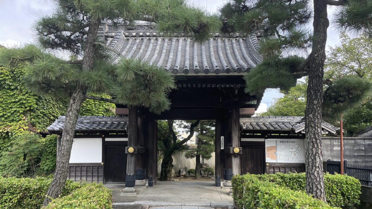 12月開催のみえ松阪マラソン・健康ウォークの部の見どころを少し紹介