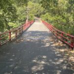 昨年の夏に比べれば確実に走力のベースができているのを実感中