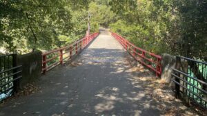 昨年の夏に比べれば確実に走力のベースができているのを実感中