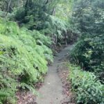 多度山の劇坂もそれなりに走れるようになってきたという事で…
