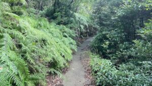 多度山の劇坂もそれなりに走れるようになってきたという事で…