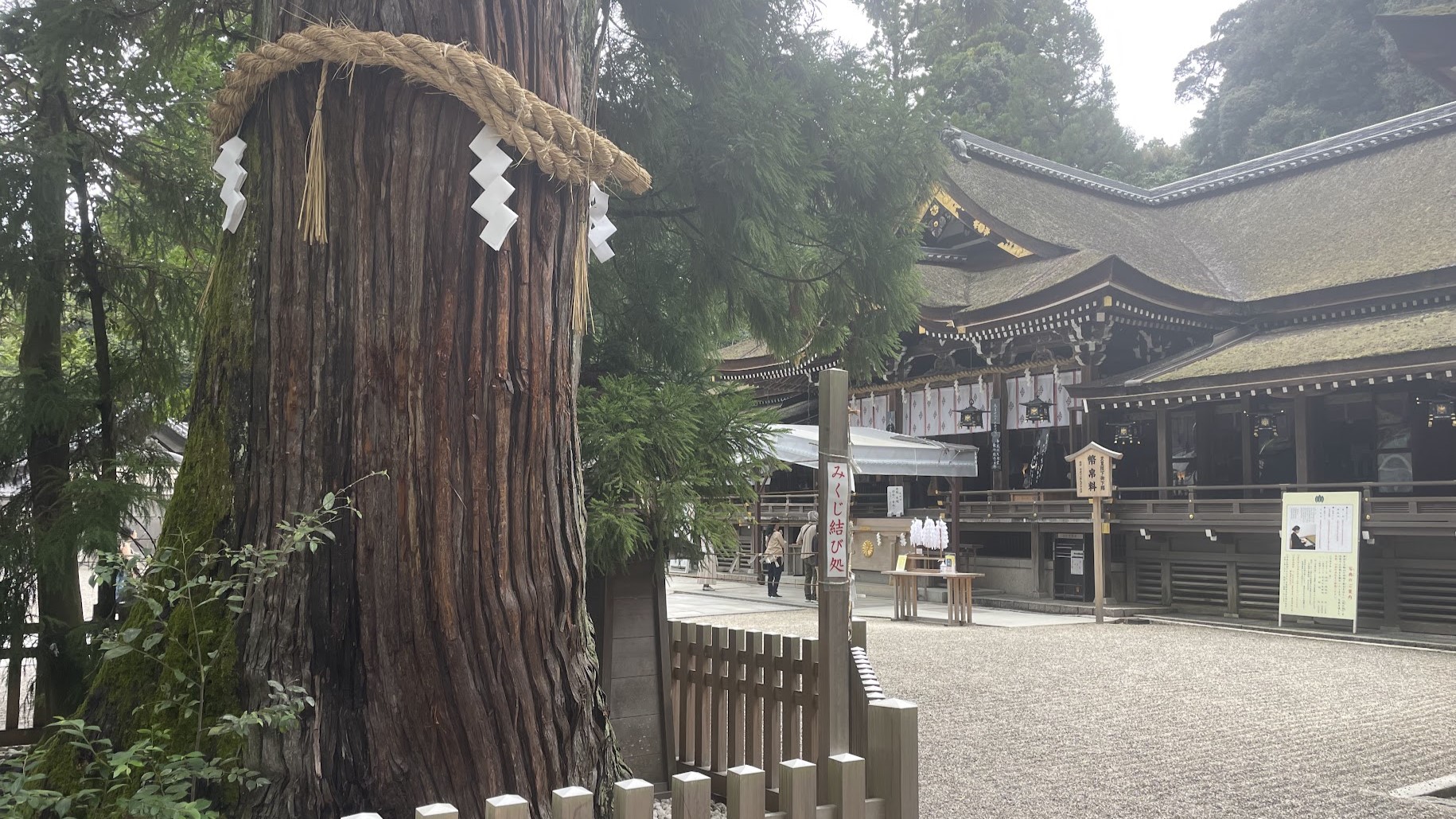 古都の由緒ある神社を巡るべく奈良タビランを実施してきました①