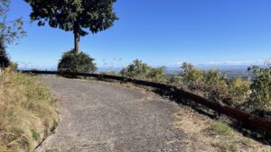 多度山のかなり傾斜のきつい下り坂を利用して脚筋力強化につなげよう