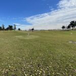 トラック練習はダメダメでもクロカン練習や旅ランは楽しいという事で