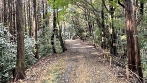 道の駅 津かわげを起点に津市河芸町にある延喜式内社を走って巡ろう