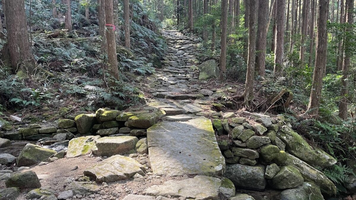 4年半ぶりに馬越峠越えと尾鷲市街地の街並みを満喫ランウォーク
