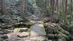 4年半ぶりに馬越峠越えと尾鷲市街地の街並みを満喫ランウォーク