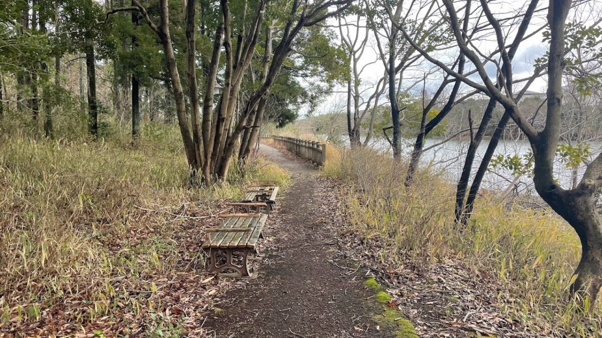 津市の安濃町にて地形バリエーション豊かなマイ定番コースを発見