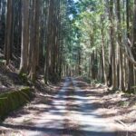 三重県内各地に30コースある「歩きたくなる1000の道」を歩いてみよう