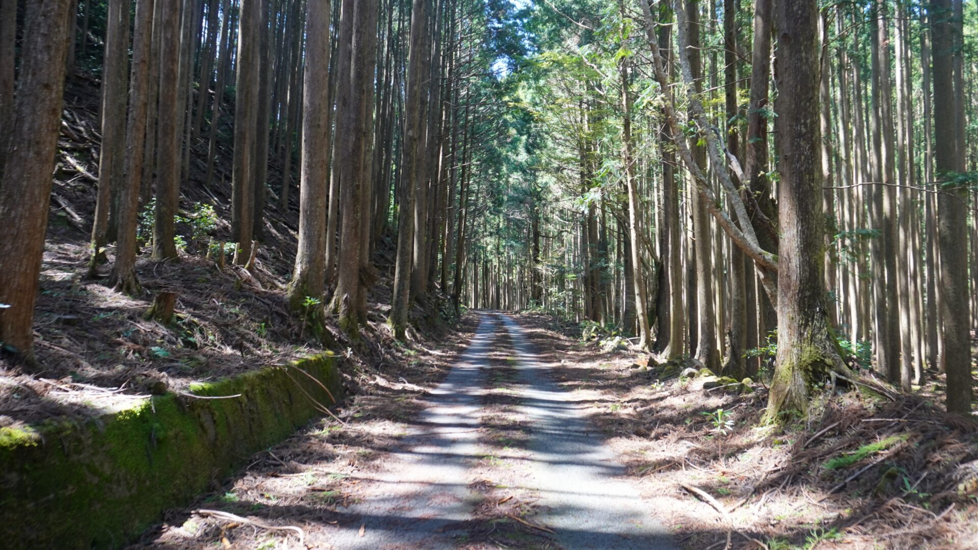 三重県内各地に30コースある「歩きたくなる1000の道」を歩いてみよう