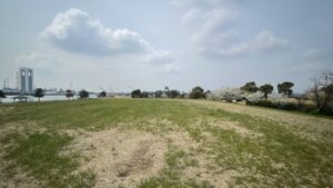 富双緑地の広大な芝生コースでのリハビリジョグを定期的に取り入れよう