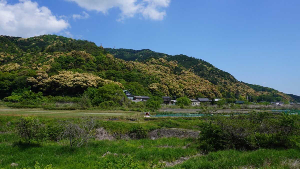 久しぶりの多度山ラン＋多度大社参拝で多少なりとも復調の兆しを実感