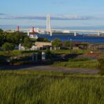 新たな武器の力を借りて続きそうで続かない富双緑地ジョグを継続しよう