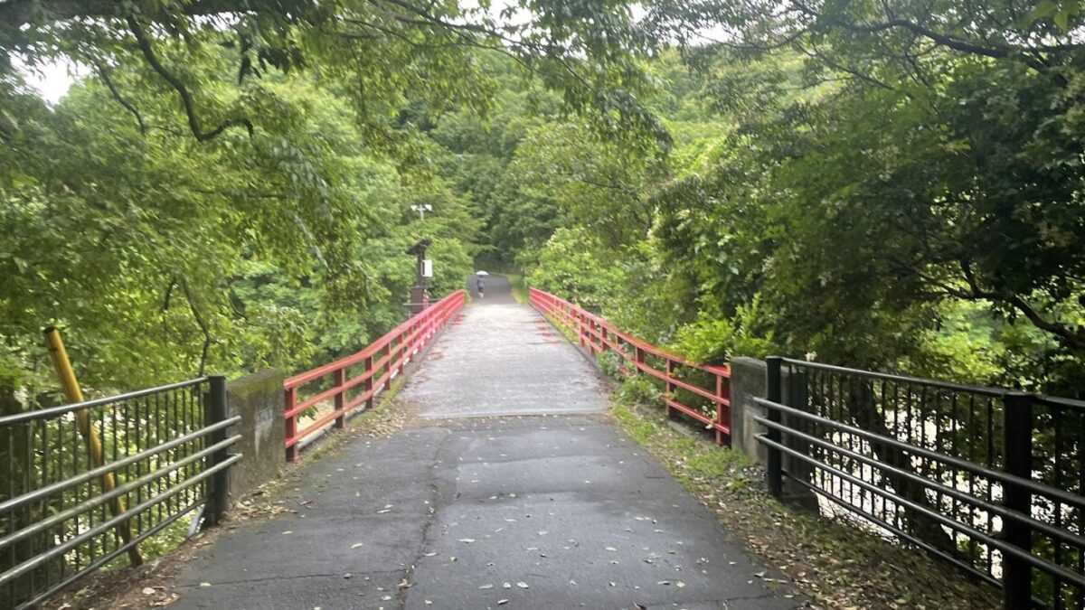 かなりの走力の衰えを実感しつつもなんとか伊坂ダム21㎞ロング走を実施