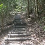 今年の夏は亀山探索ランにより例年になくじっくりスタミナ強化が進行中