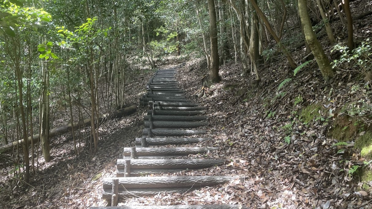 今年の夏は亀山探索ランにより例年になくじっくりスタミナ強化が進行中