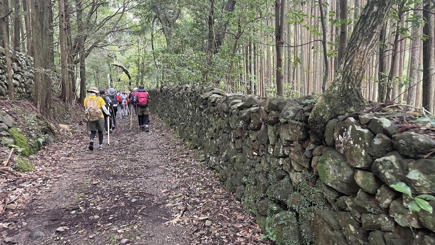 2月の馬越峠に引き続き荷坂峠バスツアーにウォーキング講師として参加