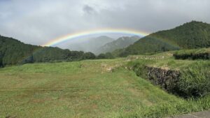 野登山山上を目指すのを断念してもう一つの椿大神社⇔野登寺峠走(?)を実施