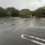 ノロノロ台風の影響で今週末のスケジュールがおおいに振り回された結果
